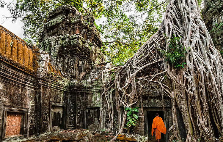 36-450-Monk at Luang Prabang